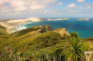 cape reinga