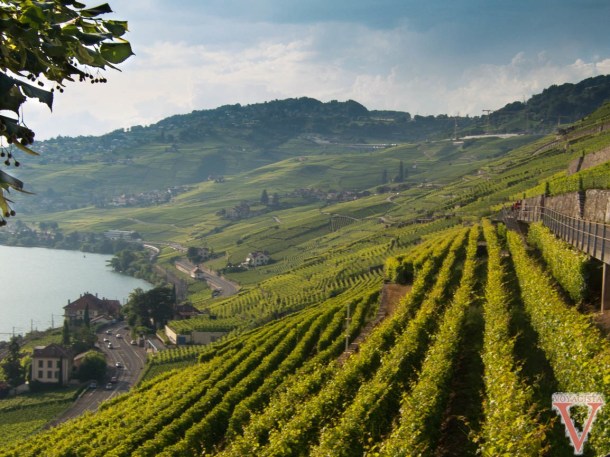 Switzerland Lavaux