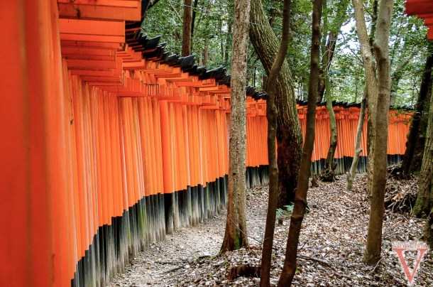 Fushimi Inari Kyoto