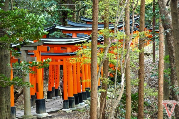 Fushimi Inari Kyoto