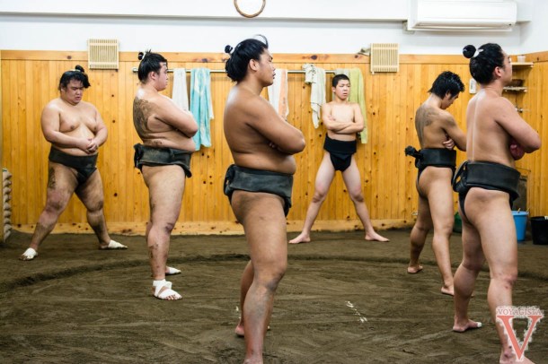 sumo training tokyo