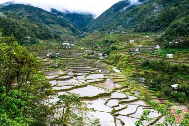 hapao rice terraces